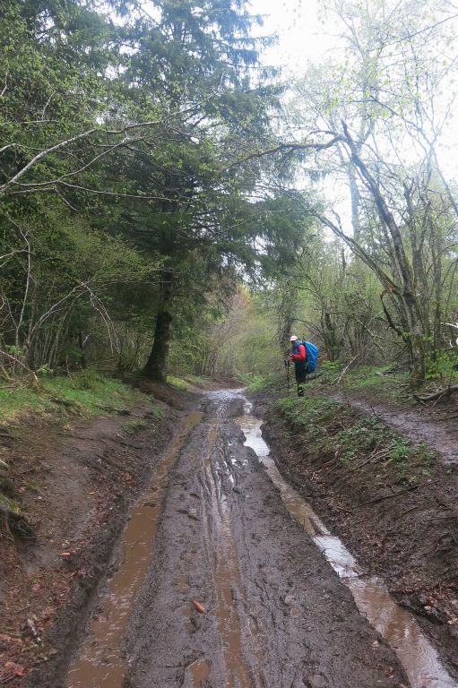 Les chemins deviennent petits ruisseaux